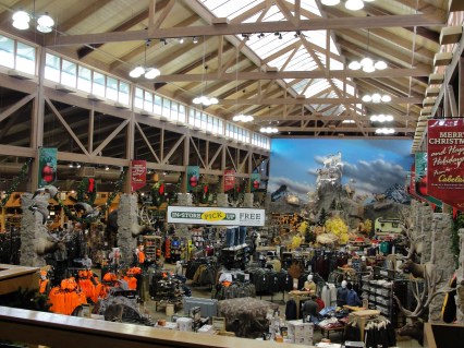 Photo from the 2nd floor balcony --- See the elk?
