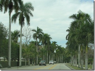 City of Palms